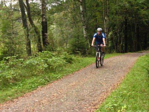 Mellom Sandermosen stasjon og Movann er det flere lette sykkelstrekk gjennom skogen, fine bade/rastemuligheter på østsiden av selva Movann